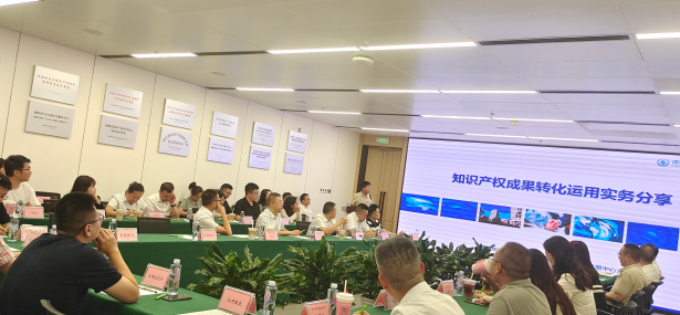 蓉漂咖啡·知產(chǎn)護(hù)航，綠創(chuàng)未來(lái)——四川“兩新”組織聯(lián)建活動(dòng)順利舉辦，引領(lǐng)技術(shù)服務(wù)新篇章